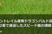 コントレイル産駒ドラゴンバルド鼻差2着で露呈したスピード面の課題