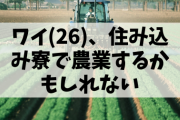 ワイ(26)、住み込み寮で農業するかもしれない?