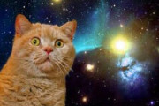 猫がやたらテレビの前に出るので画面を宇宙にしたらコラ画像みたいに