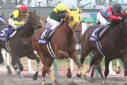 【競馬】サウンドトゥルー鞍上マジで決まらない