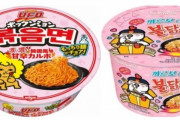 韓国人「日本メディア分析‥日清の『三養プルダックポックンミョン』のコピーは韓国にお返しする事かも‥」　韓国の反応