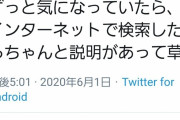 【悲報】駐日グルジア代理大使、「草」の意味を知る