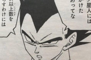 【話題】ベジータ「ナメック星人には昔迷惑をかけた」【ドラゴンボール】