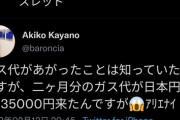 【悲報】ヨーロッパ、ロシアのせいでガス代が急騰　１０万円越えの請求が続々届いてる模様