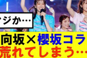 【櫻坂46】日向坂×櫻坂コラボ荒れてしまう…#櫻坂46 #そこ曲がったら櫻坂#承認欲求#森田ひかる #山﨑天 #藤吉夏鈴 #sakurazaka46 #欅坂46#村山美羽 #中嶋優月#田村保乃