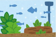 勇気あるアクア民さん、満を持して水槽画像をアクア板に貼った結果 →