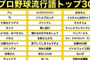 プロ野球流行語トップ30、ある一球団に偏りが酷いと話題に