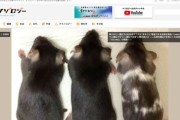 東大、ヒト遺伝子の93％をマウスにまるごと移植できる技術を開発