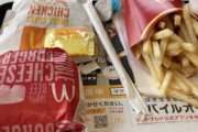 【朗報】ド底辺ぼく(26)、週末の楽しみのマックに来る