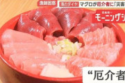 楽韓さん、本日の動向 - クロマグロはしっかり資源回復しているんだからさ……