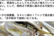【悲報】秋田県さん、意味不明な理由でハタハタを絶滅させようとする