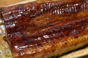うなぎを食べる　松本わかな