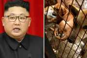 海外「北朝鮮は食糧不足で飼い犬を強制的に徴収しているそうだ」