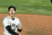 【悲報】WBCのNetflix独占配信だけどWBCのスポンサーほぼ日本企業だけどどうすんの・・・・？