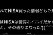 【悲報】岸田ガー「新NISAで『追証』祭り！ギャオオオン」 あのさぁ…