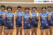 【悲報】女子バレー選手のユニ、20万円で落札→選手、ドン引き・・・