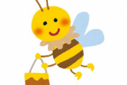 「ミツバチの世界にもおデブさんがいた！」キュートな後ろ姿