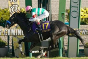 【悲報】菊花賞馬ドゥレッツァ有馬記念見送り、年内休養