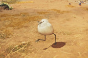 【FF14】モンスターハンターワイルズの「てくてくフワフワクイナ」が可愛すぎてミニオンに欲しいという一部のハンターヒカセンたち。「もしコラボがあるなら…」