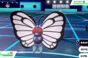 ポケモン序盤「バタフリー強え！！」中盤「やっぱそうでもないわ…」