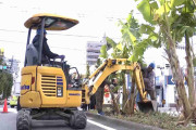 市道に“無許可で植えたバナナ”すべて撤去　植えた男性「もったいない」　福岡・久留米市