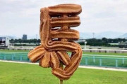 競馬場で売っていた「馬チュロス」、予想外すぎる形状が話題にｗｗｗ