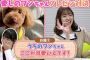 【乃木坂46】まあやの犬愛(・∀・)ｲｲﾈ!!