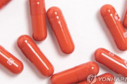 日本政府、塩野義製薬とイルドン製薬が開発した飲むコロナ治療剤緊急承認＝韓国の反応