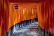 【画像】　“神社の強さ”　ランキング教えてくれｗｗｗｗｗ