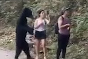 【世界仰天ニュース】野性のクマと記念撮影する女性たちに世界中がビックリ