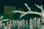 ライナーノーツも必見！Apple Music公式プレイリスト「はじめての櫻坂46」配信スタート