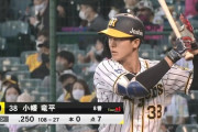 小幡竜平(20) .248(109-27) 0本 7打点 OSS.568