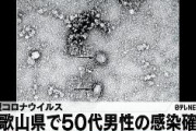 【武漢ウイルス】和歌山県内で感染確認の50代男性は医師　中国人との接触は「明らかなエピソードない」