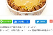 チーズ牛丼、最強だったwwww
