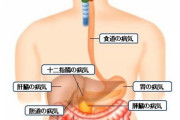 消化器内科の医者だけど質問ある？