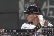 日ハム王柏融.421ｗｗｗｗｗｗｗｗ