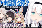 幽霊調査ってハマって何度もリピートしたくなるようなゲームなんか？