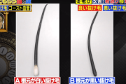 抜け毛のド迫力