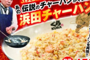 【朗報】格付けチェックで話題になった"浜田チャーハン"完全再現され商品化決定！！！