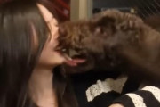 【画像】もはや衝撃映像www 井上和、ほぼ犬に顔面食べられてる【乃木坂46】