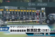 【新潟記念】カラテ＆菅原騎手がｷﾀ━━━━(ﾟ∀ﾟ)━━━━!!