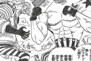 【ONEPIECE -ワンピース】ワンピースでガチで役に立たない悪魔の実って存在しないよな？？？？？