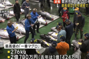 2025年の一番マグロ､青森･大間産276キロが2億700万円 1999年以降で史上2番目の高値
