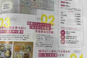 雑誌に載ってた「41歳女性、派遣社員、手取り年収190万円」の家計簿が自分に近くて「あなたを詳しく知りたい、こういう人のを見たい」