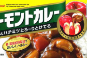 カレールーの最高傑作、バーモントの中辛に決まる