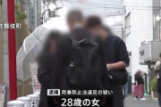 【悲報】警察「立ちんぼやめろ」立ちんぼ「いやでーす」警察「……」注意喚起を無視したため通常逮捕へ