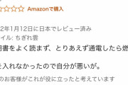 Amazonレビュー「説明書を読まずに使用したら燃えたので星1です」