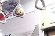 【画像】Twitter民「えっ？ちょっと待って！吊り革にオニギリ挟まってるｗｗｗｗｗｗｗｗｗｗ」