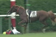 【競馬】もしもジョッキーが学校職員だったら