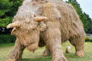 新潟県で毎年秋に行われる『わらアートまつり』を見た♪「カバザウラスww草」「想像の域を超えてるぞ」 海外の反応